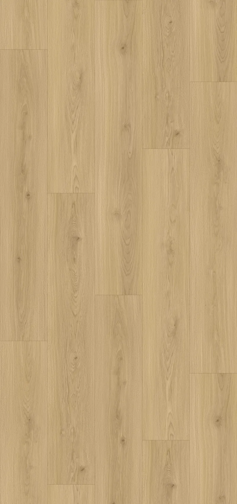 Blonde Ash Image 1