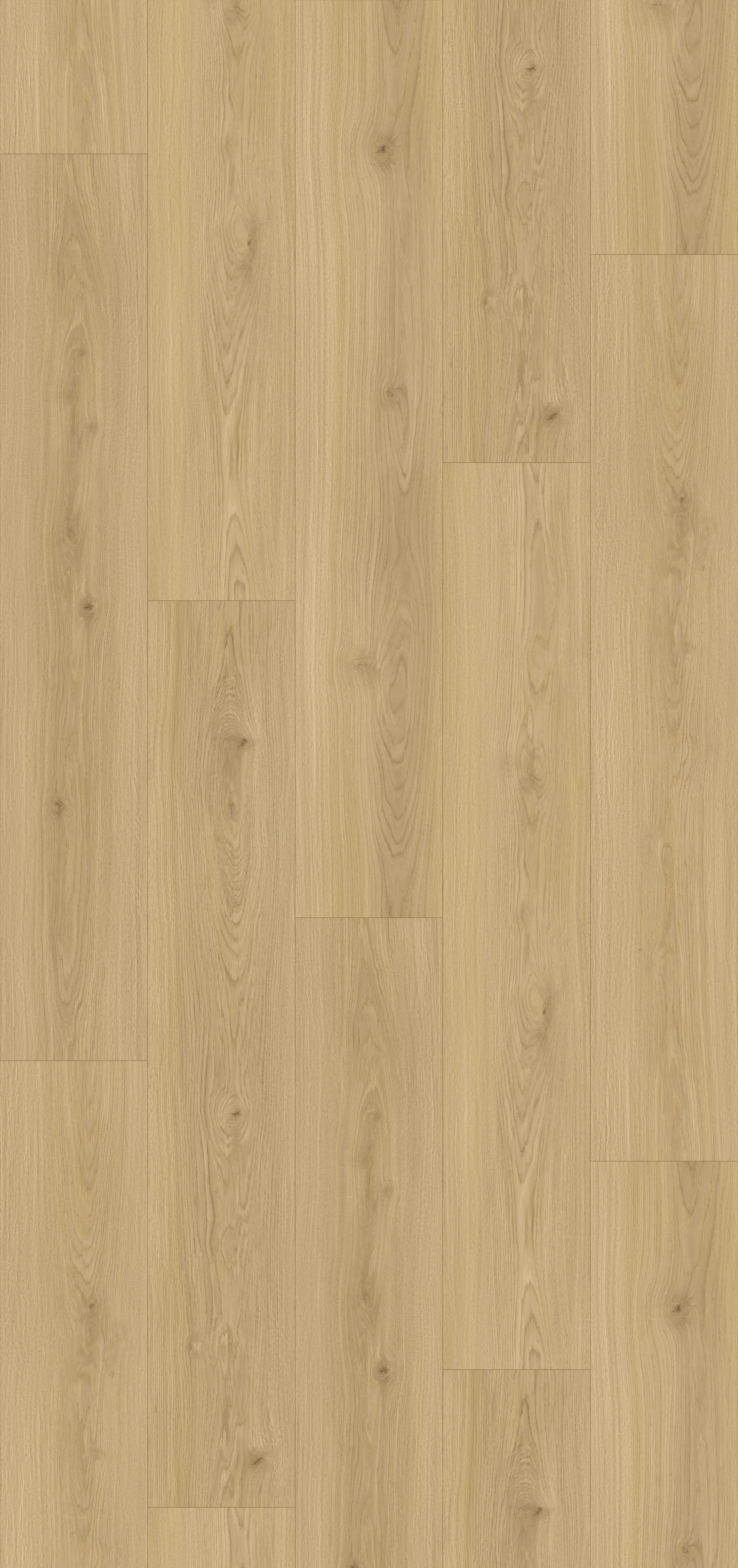 Blonde Ash Image 1