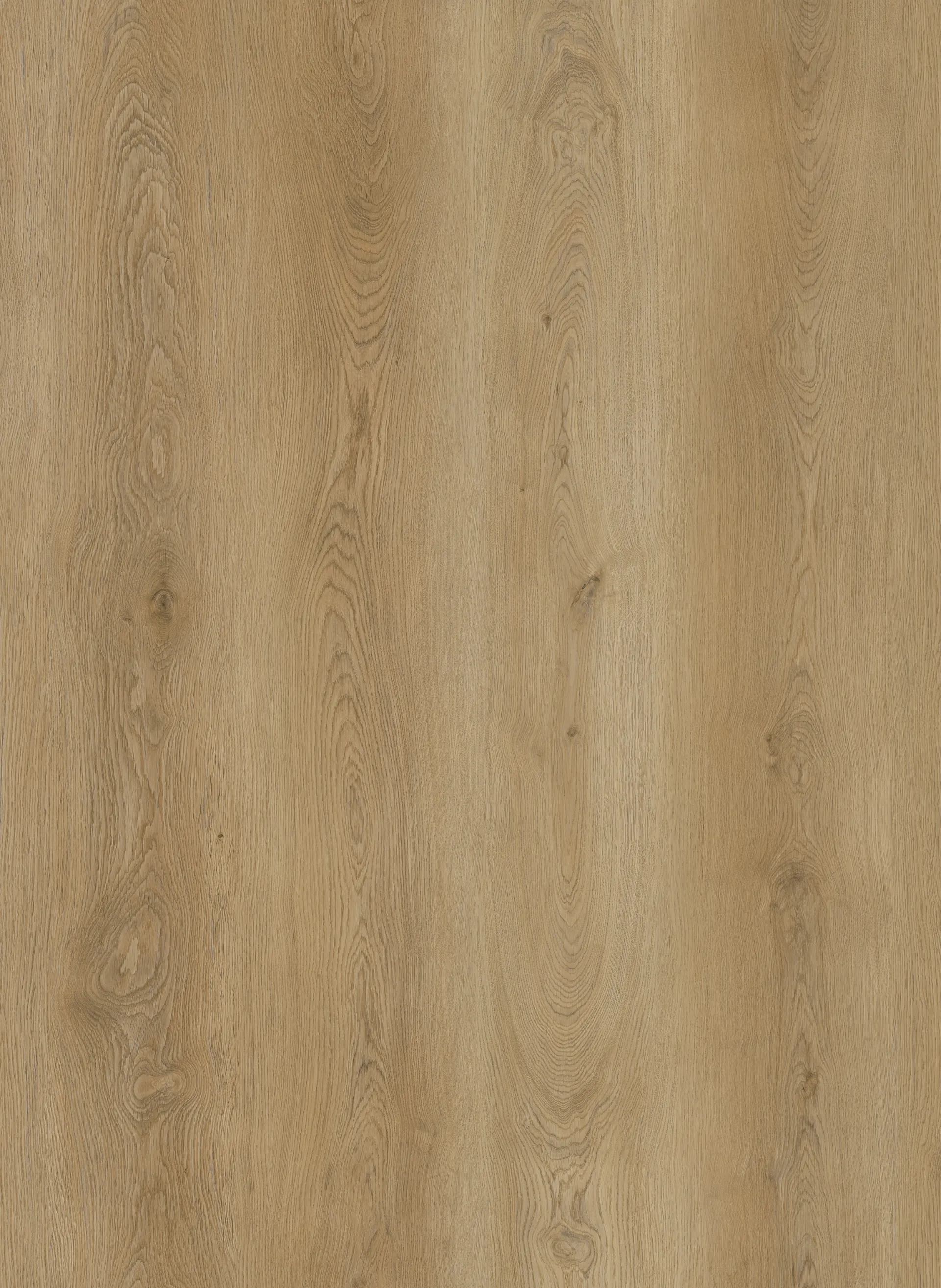 Golden Harvest Oak Image 1