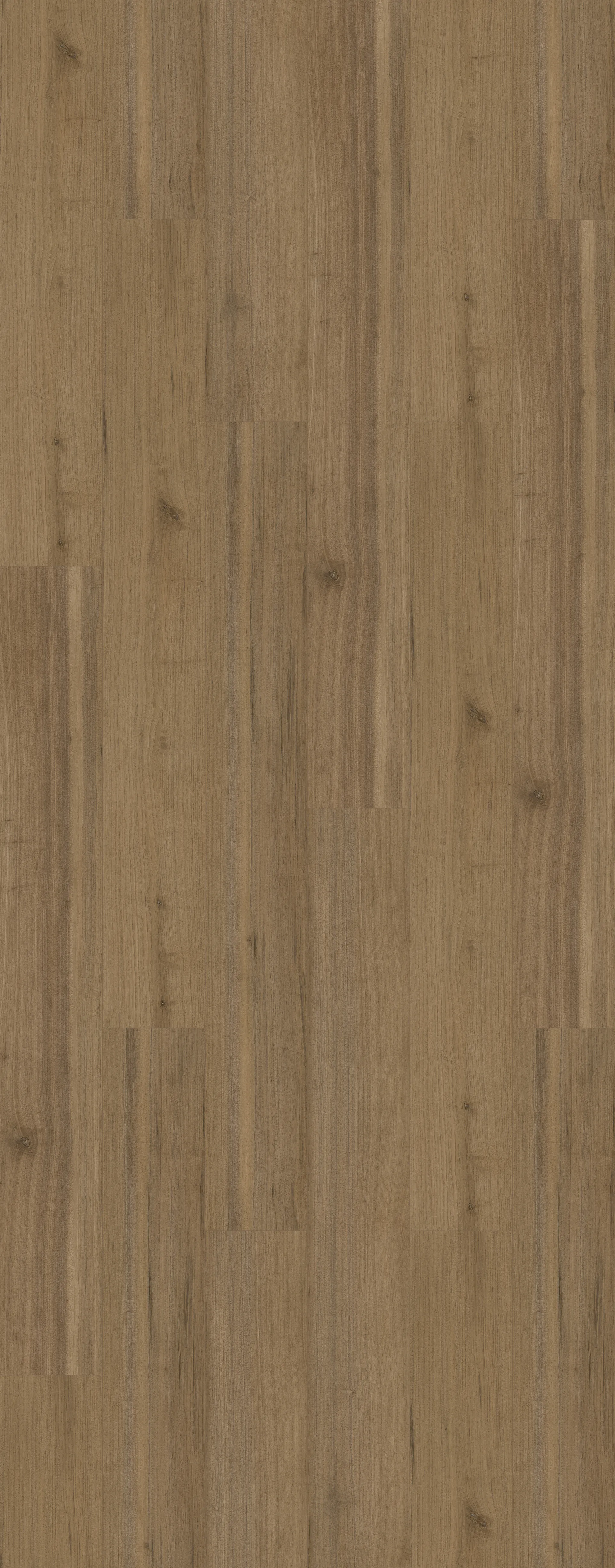 Honey Walnut Image 1