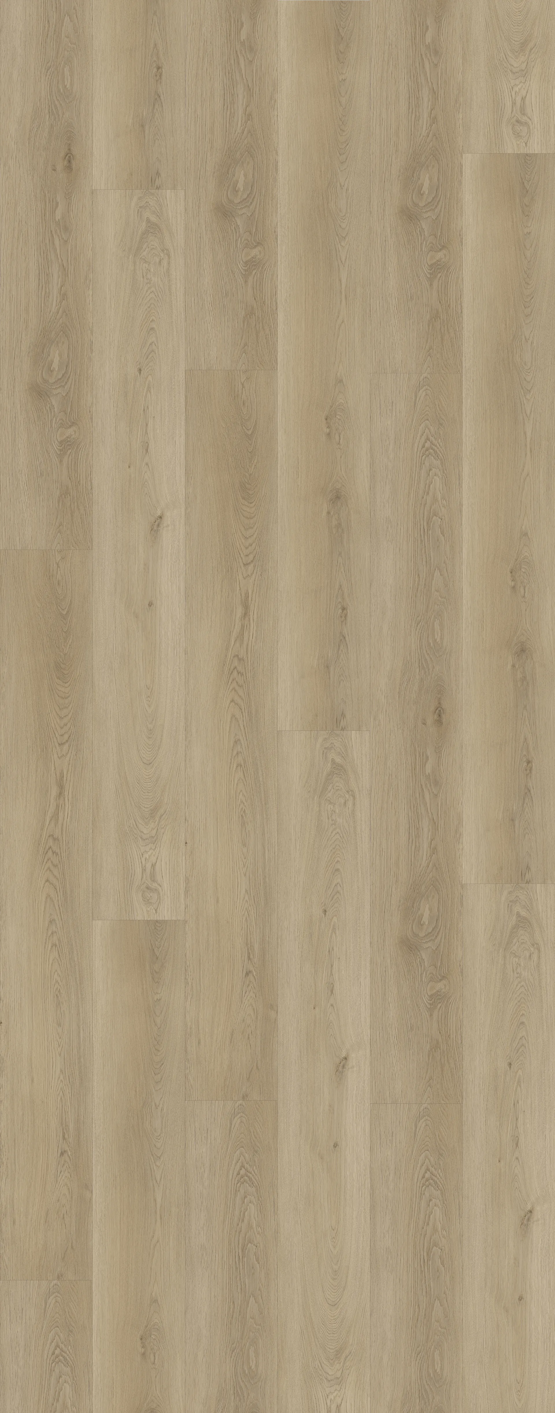 Riviera Oak Image 1