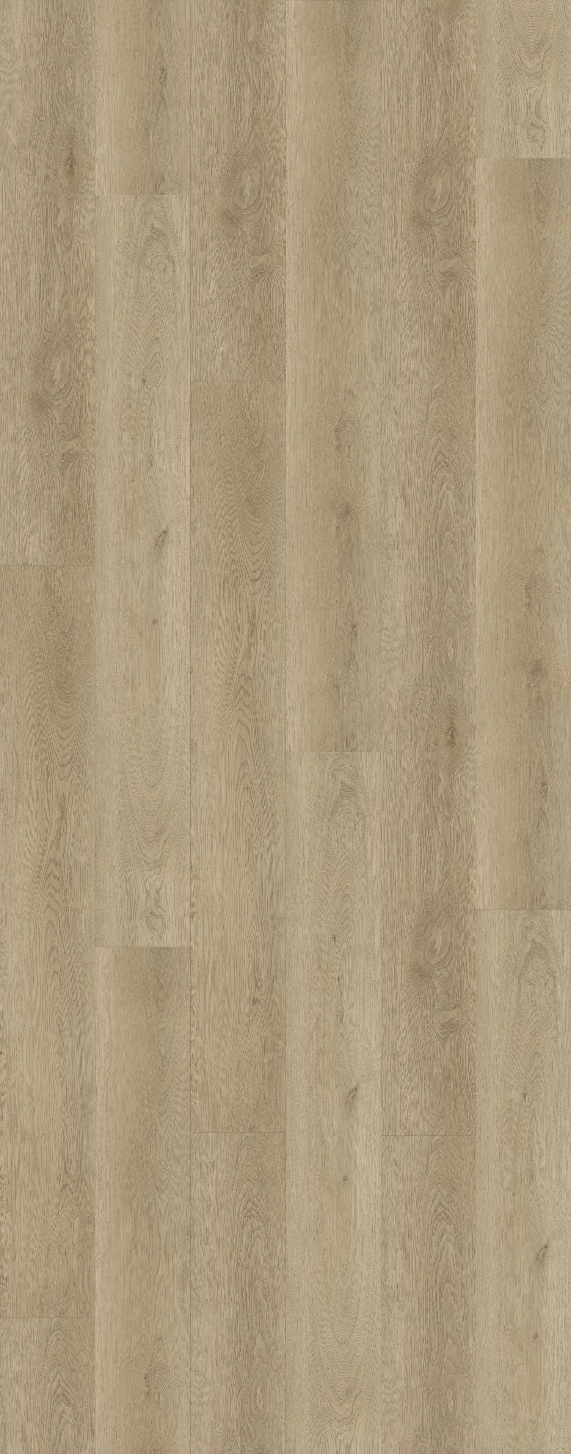 Riviera Oak Image 1