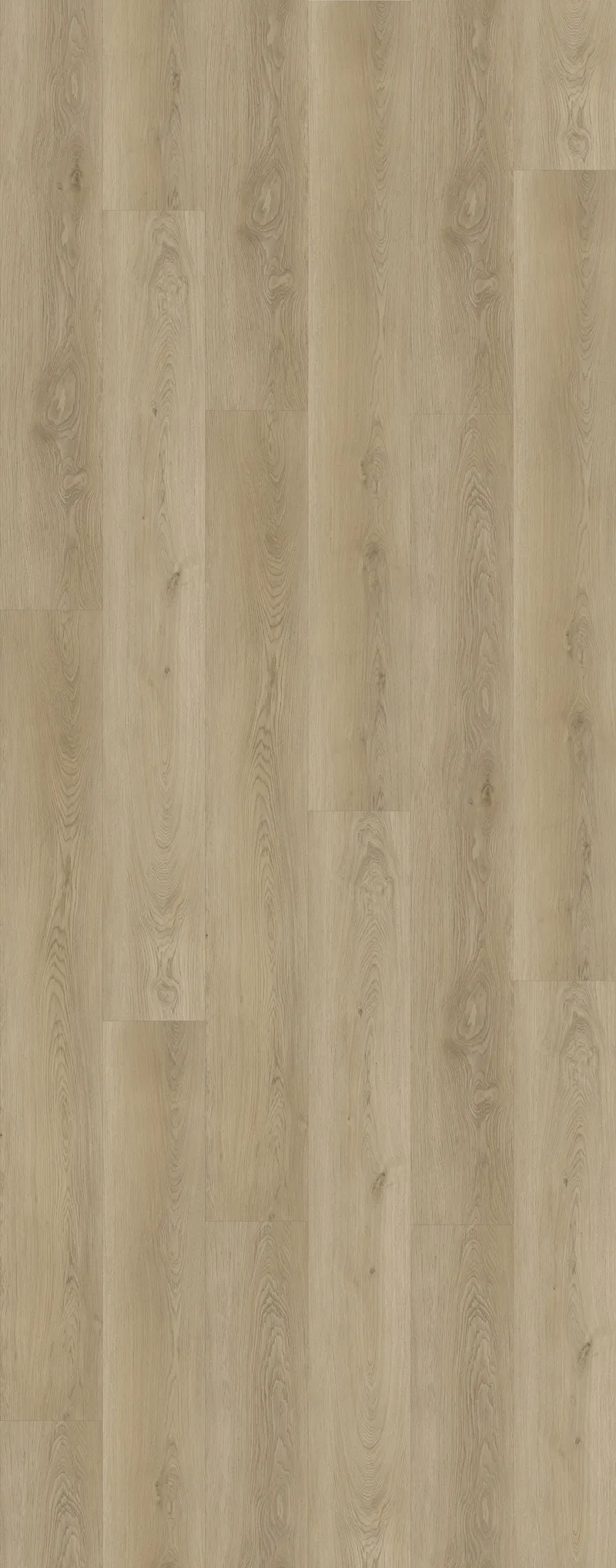 Riviera Oak Image 1