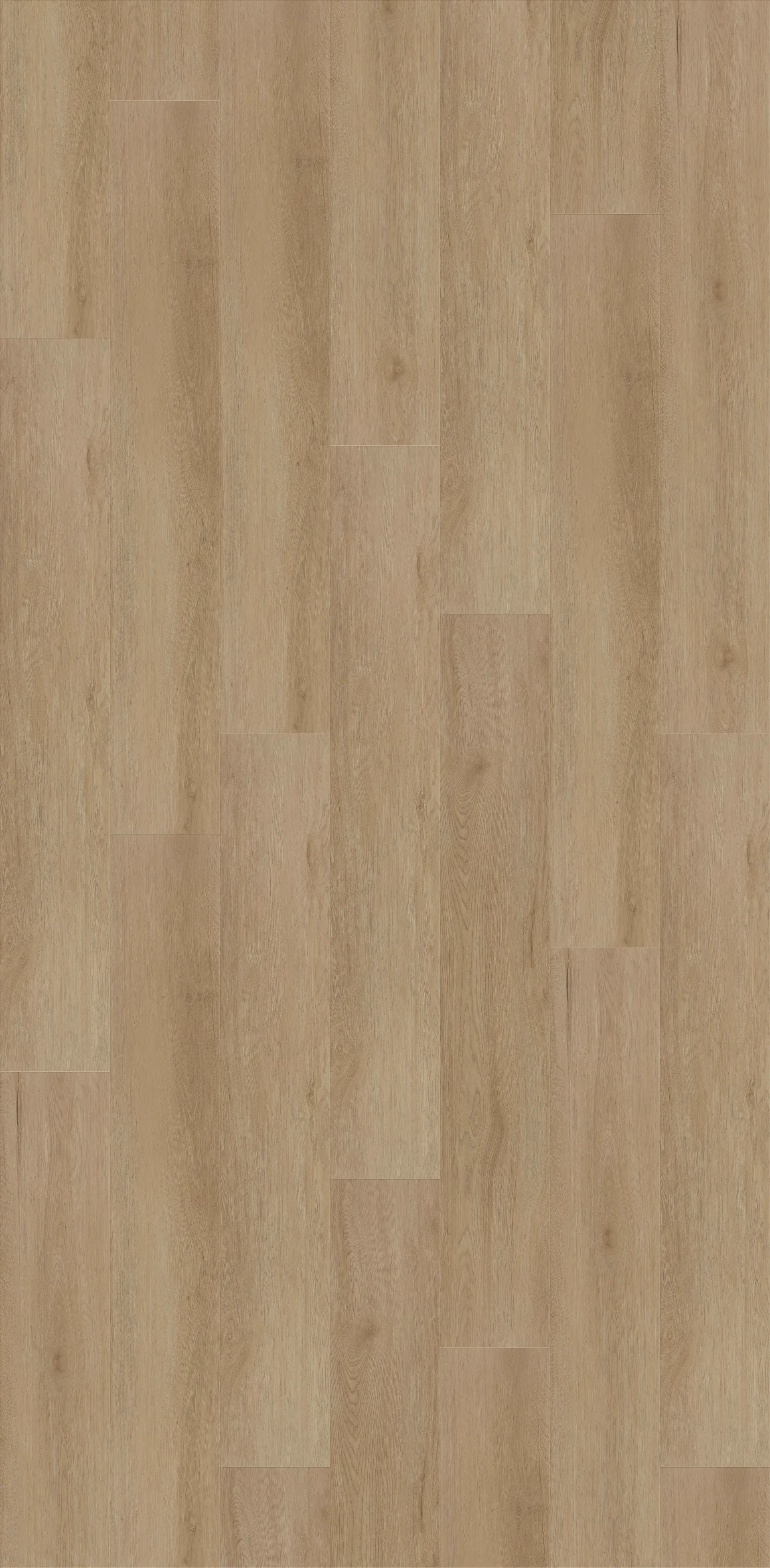 Sandy Oak Image 1