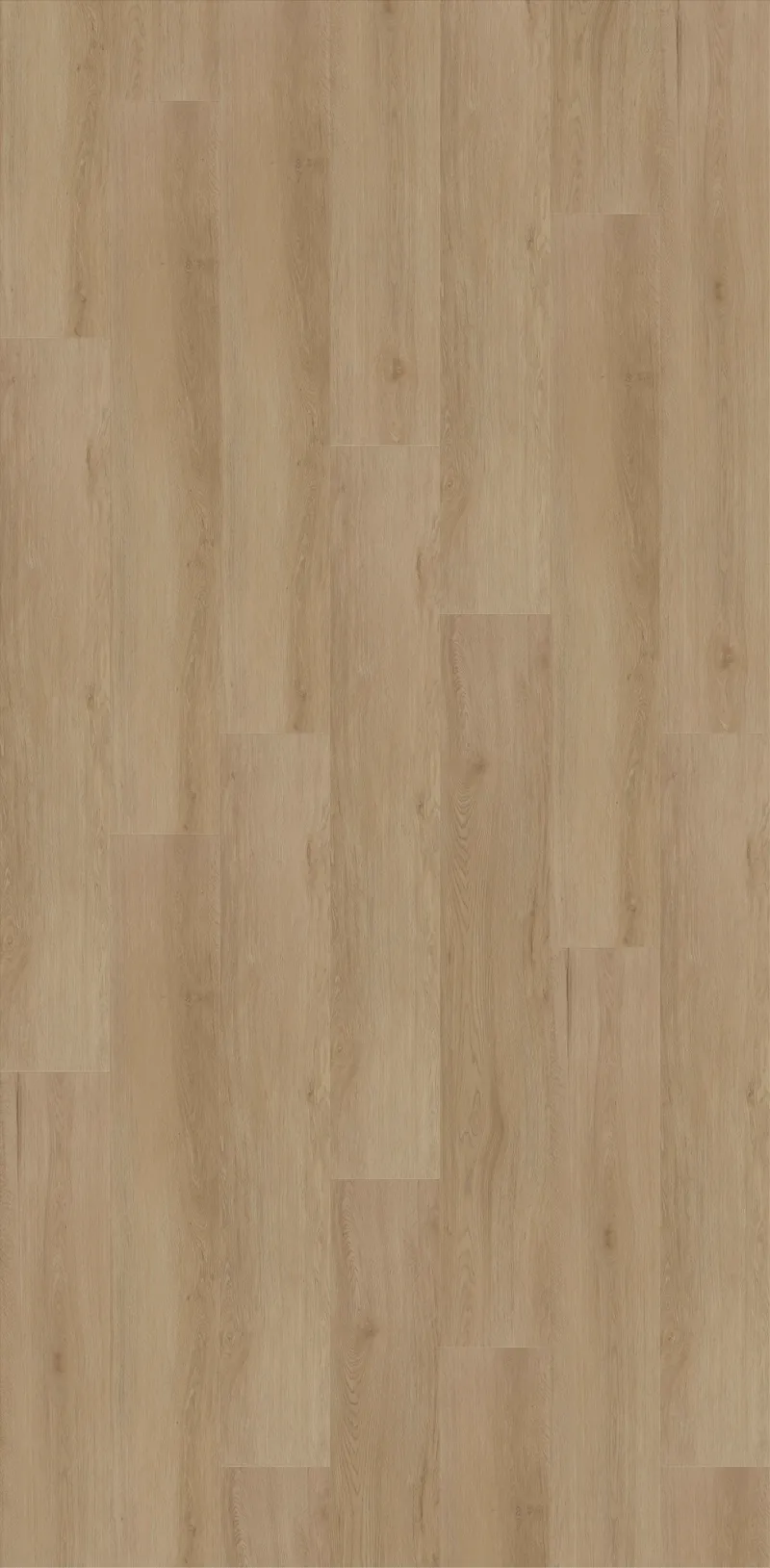 Sandy Oak Image 1