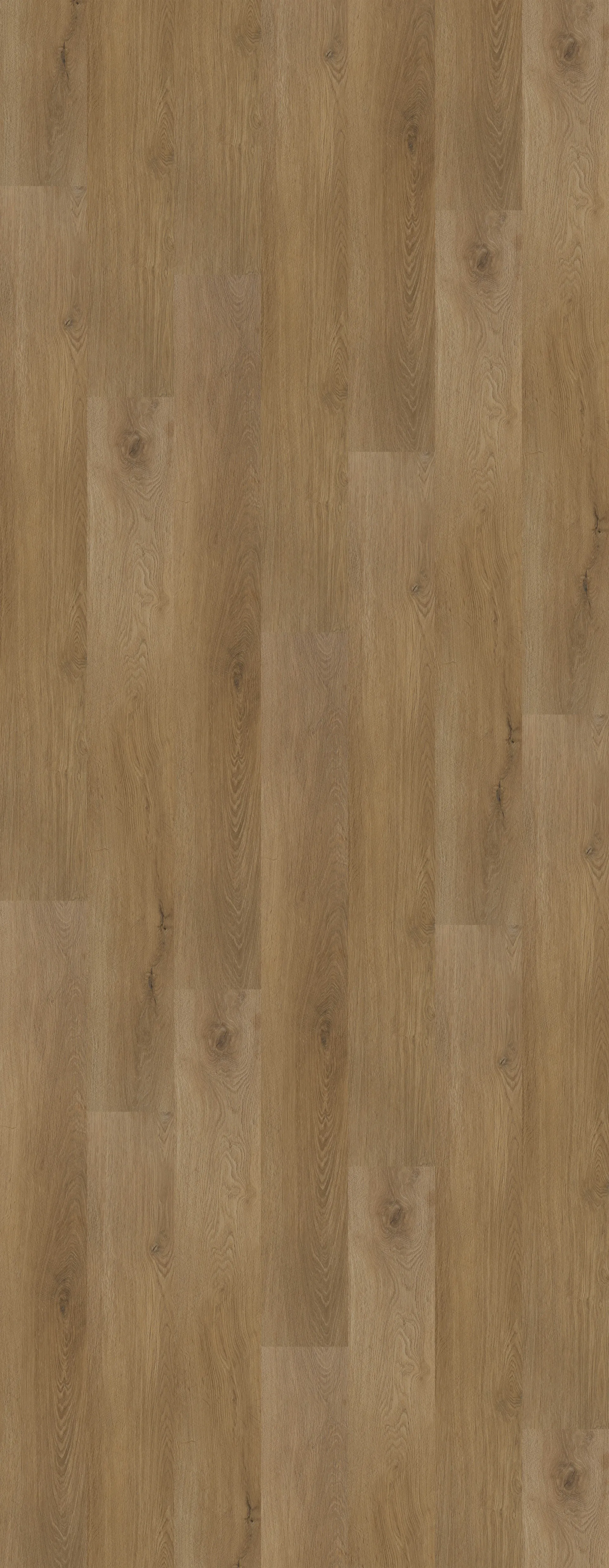 Smoky Cinnamon Image 1