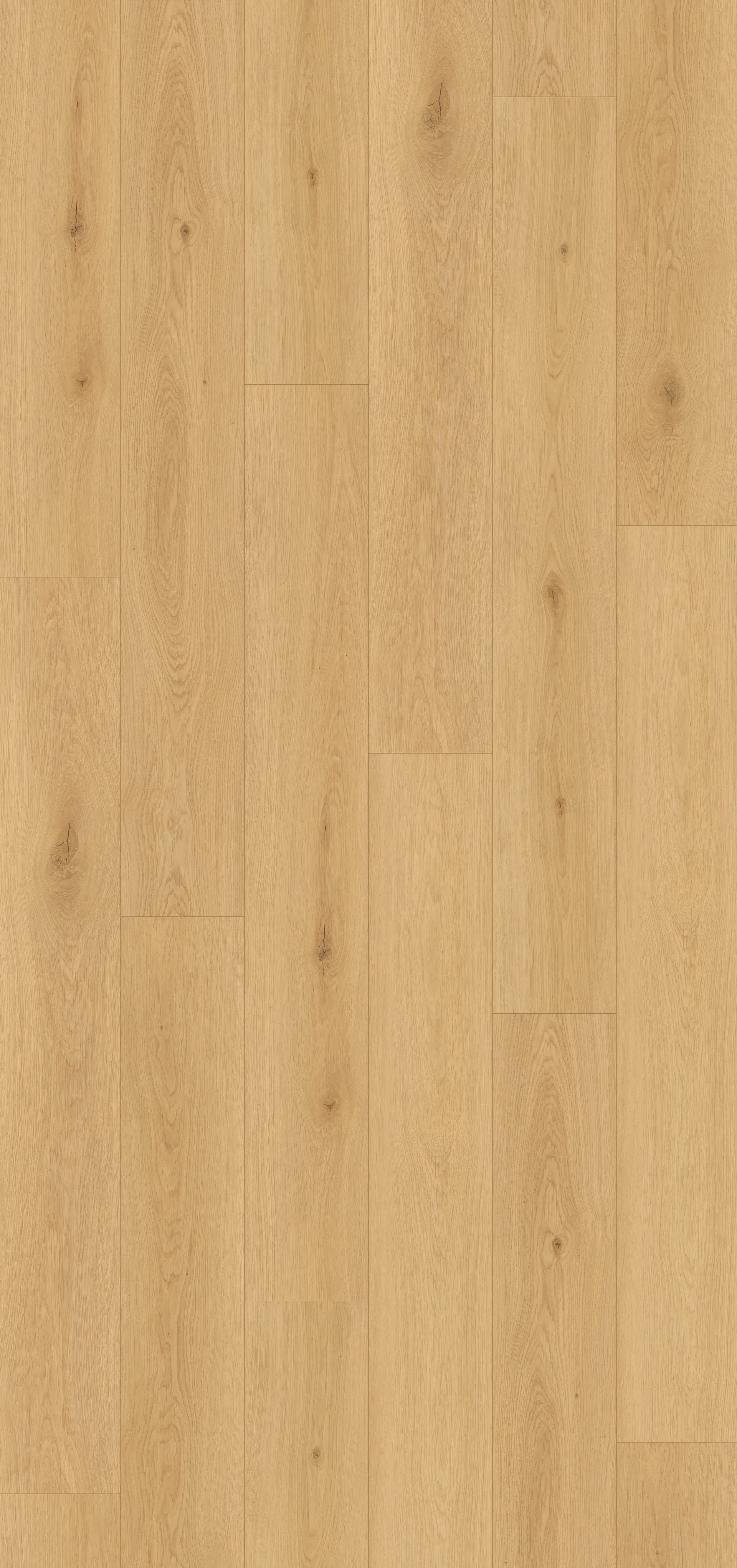 Sunkissed Cedar Image 1