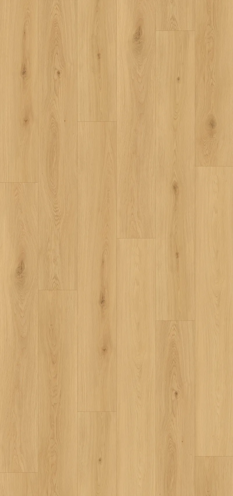 Sunkissed Cedar Image 1